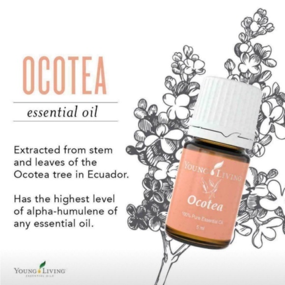 Young Living Ocotea Essential Oil - 5 ml - Picture 2 of 3